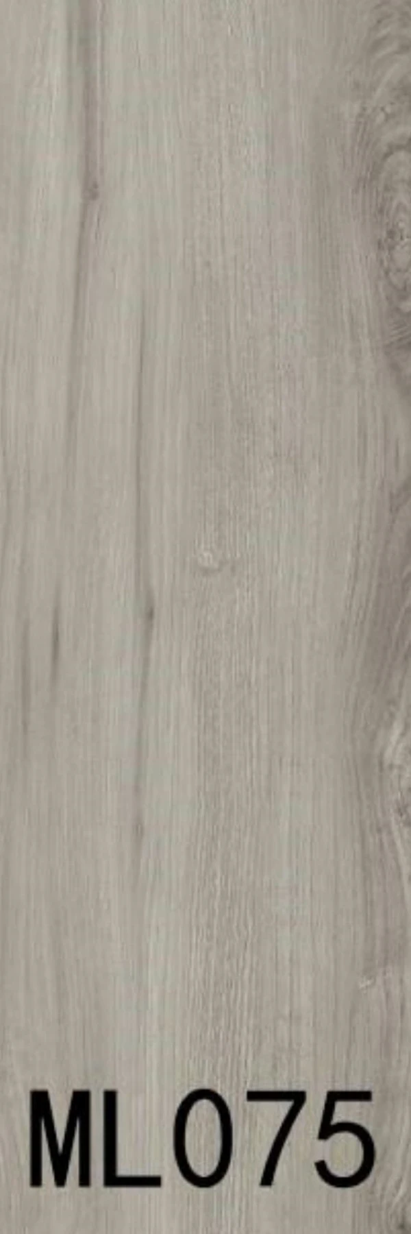 ML075