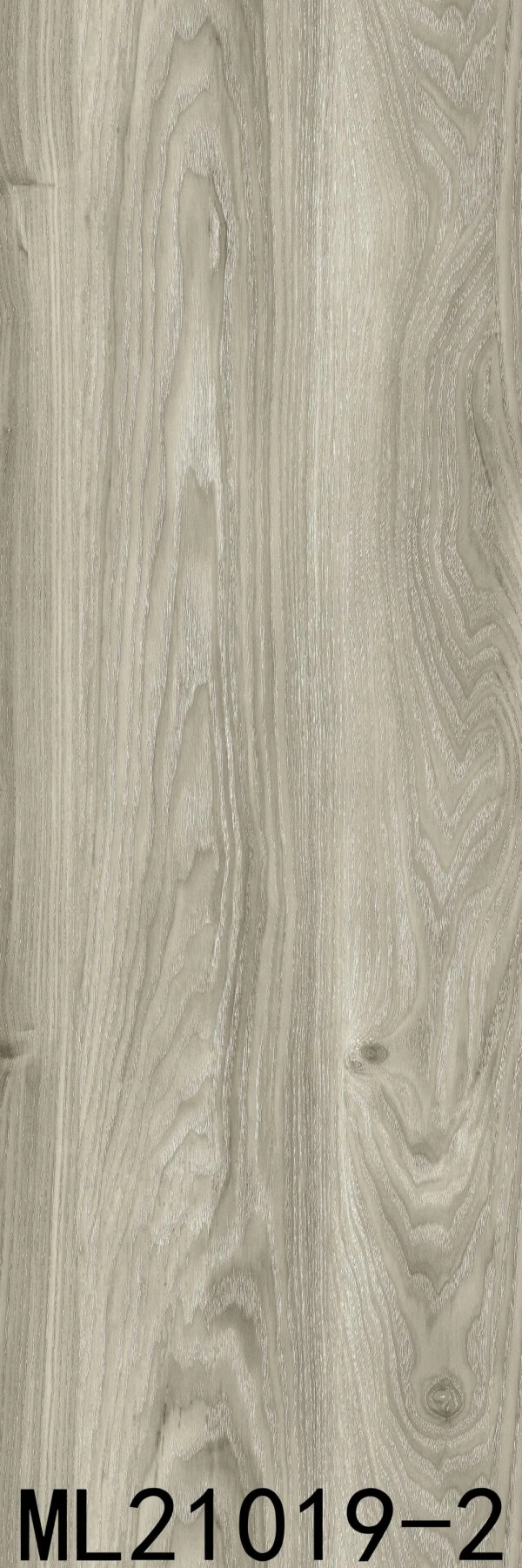 ML21019-2