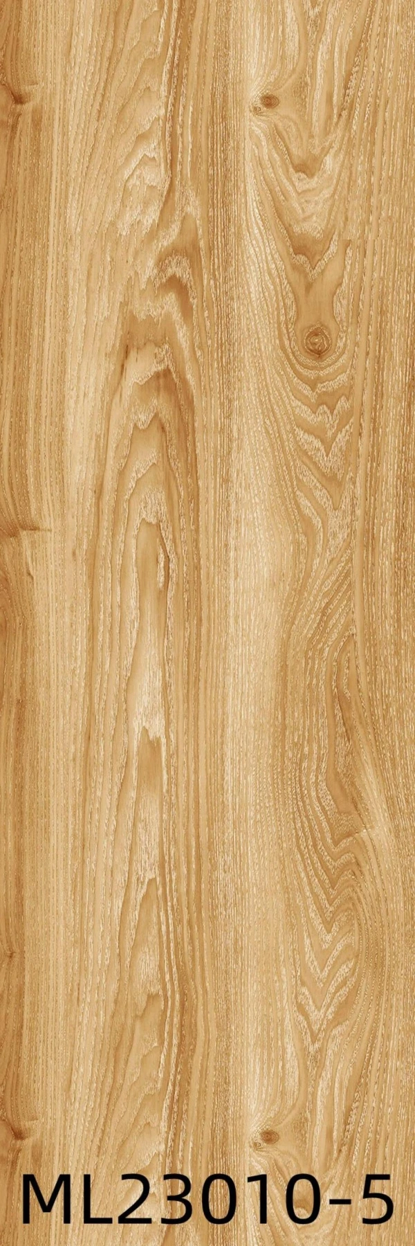 ML23010-5 - Card-004