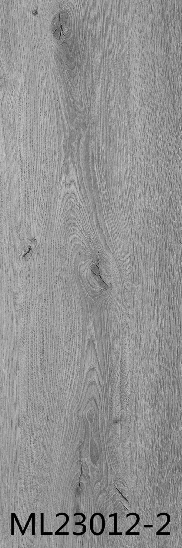 ML23012-2 - Card-004