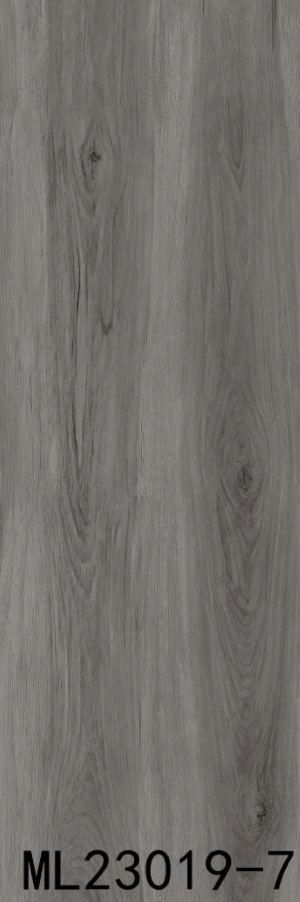 ML23019-7 - Card-004