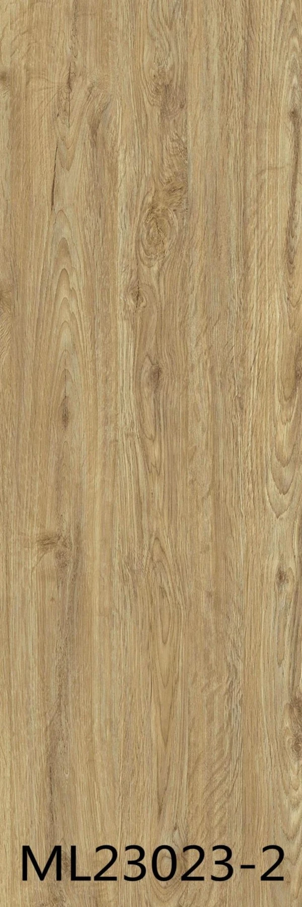 ML23023-2