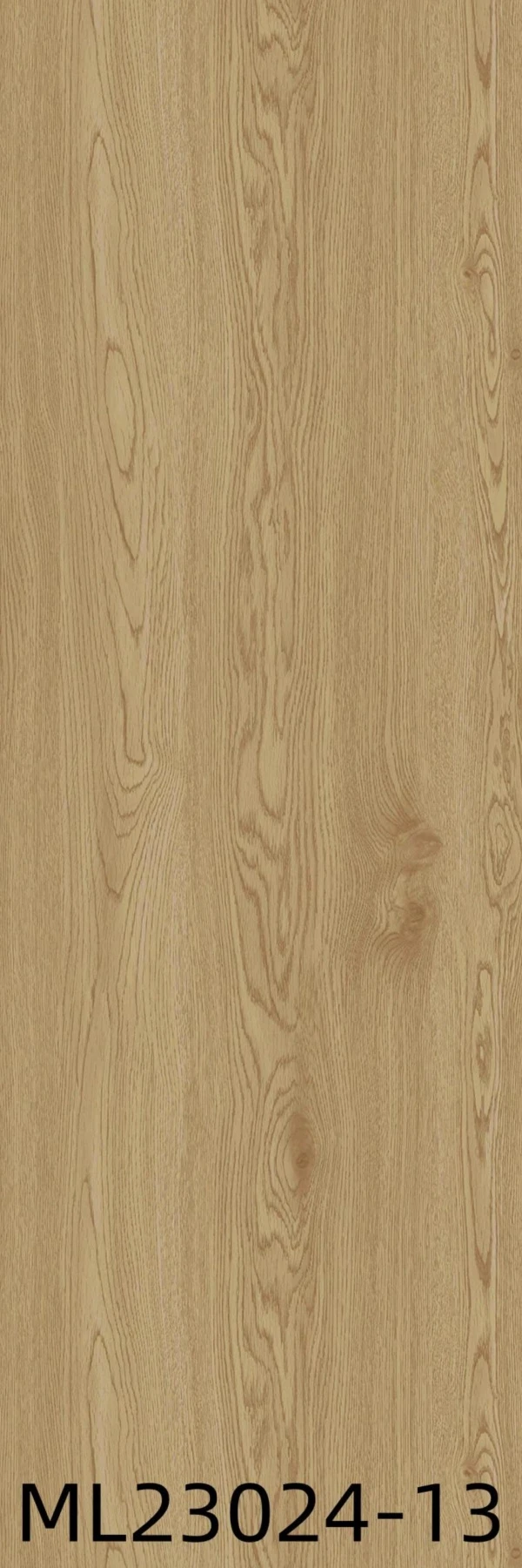 ML23024-13 - Card-005