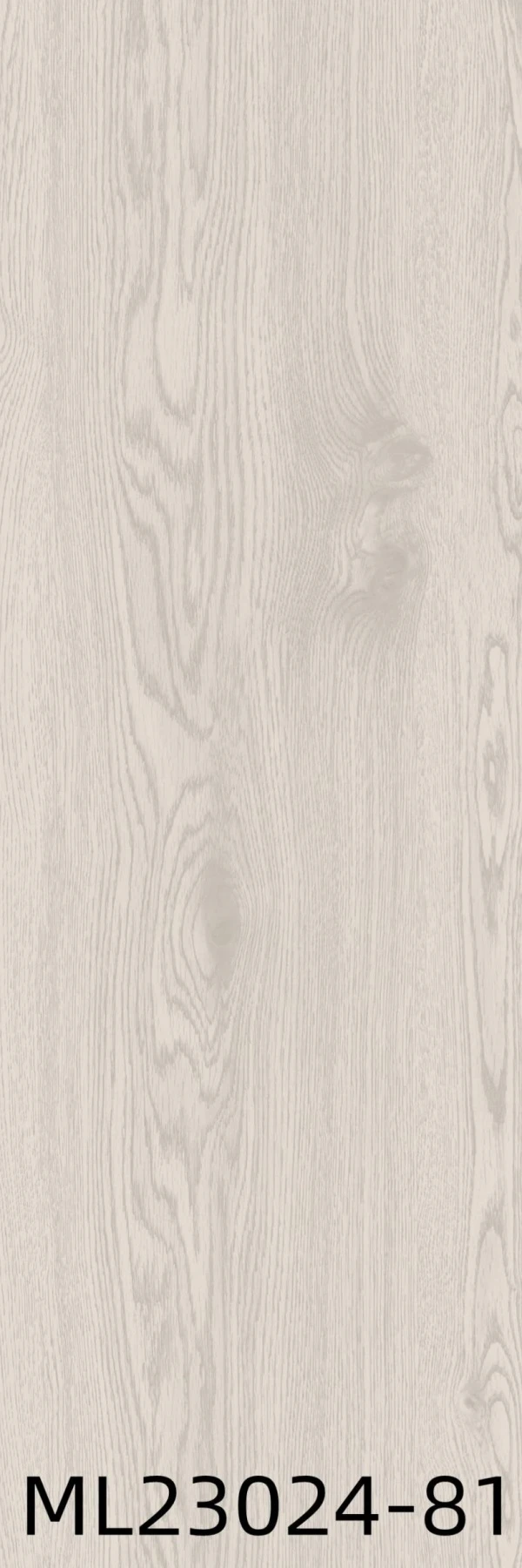 ML23024-81 - Card-005