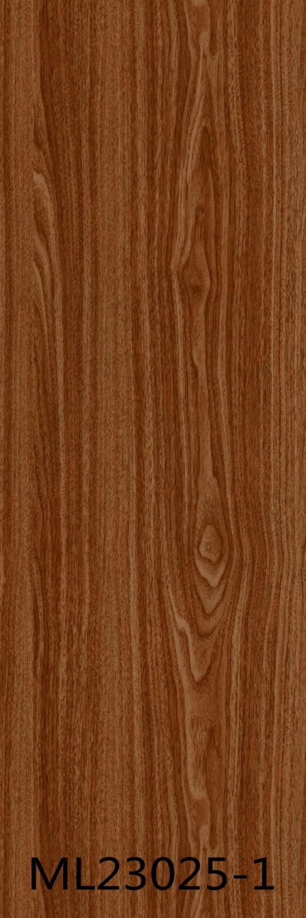 ML23025-1 - Card-005