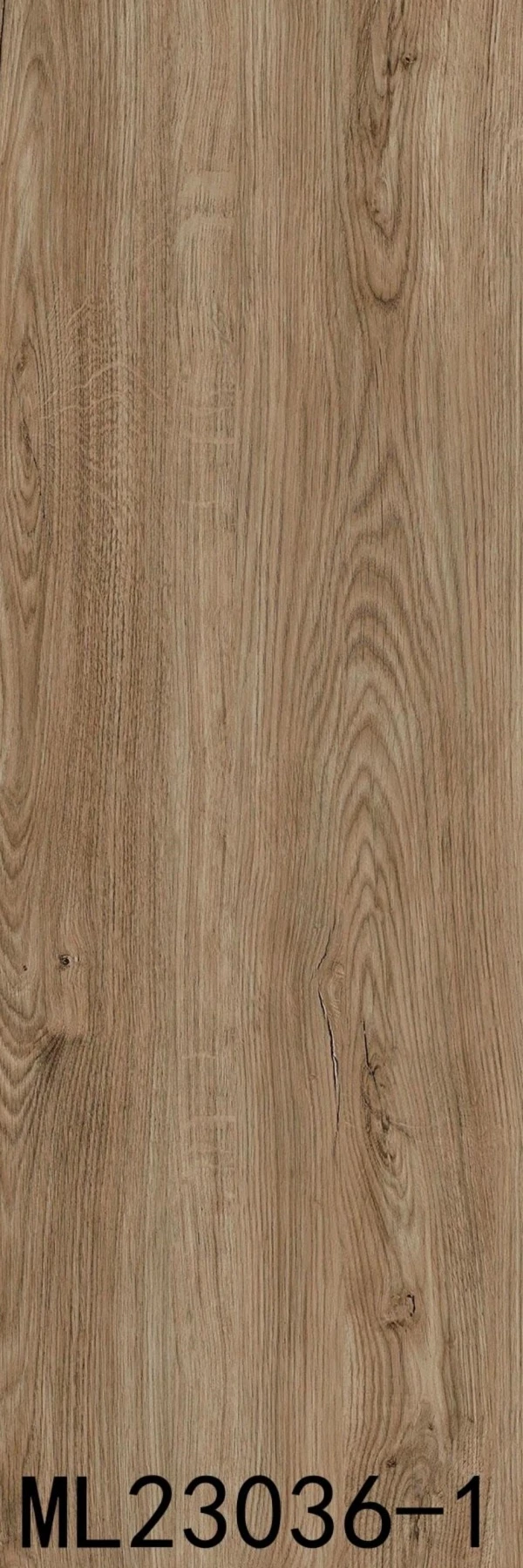 ML23036-1