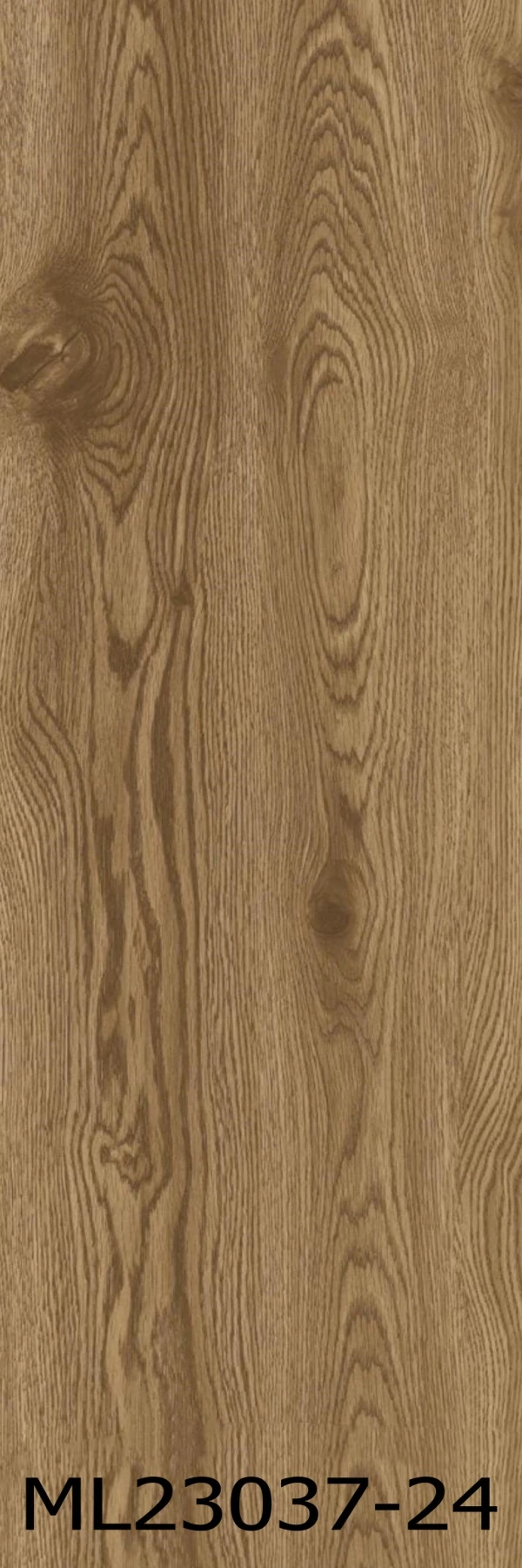 ML23037-24png