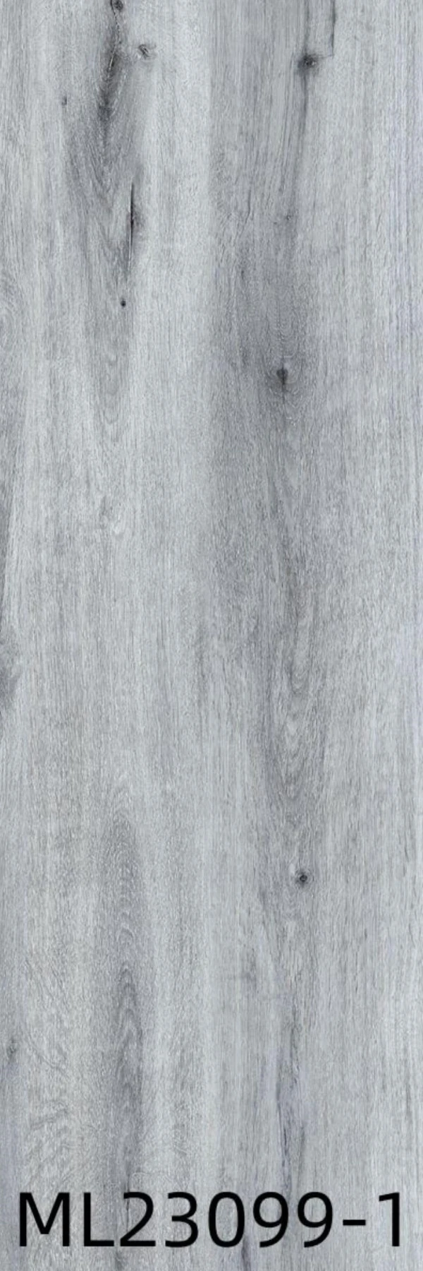 ML23099-1 - Card-006