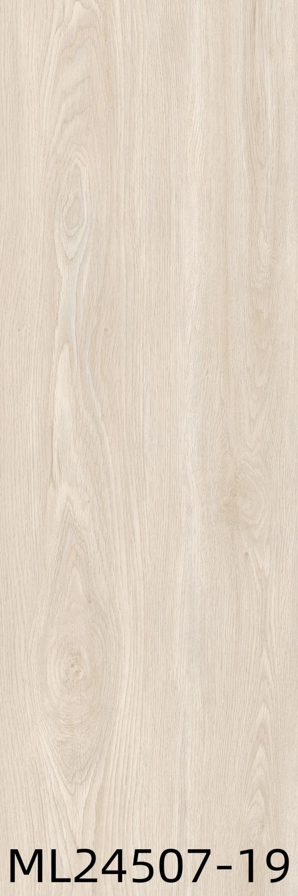 ML24507-19 - Card-006