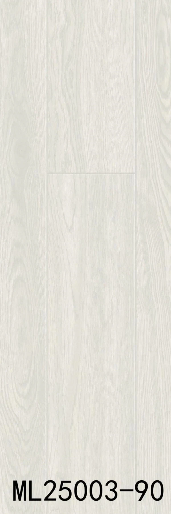 ML25003-90 - Card-006